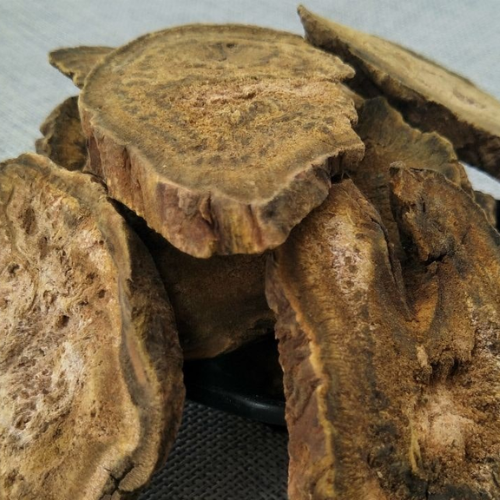 CHIẾT XUẤT ĐẠI HOÀNG (Phục hồi)